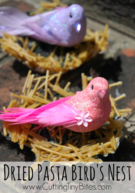 Bird Nest Craft for Kids. Made from dried pasta and yarn. Fun for preschoolers and elementary children.