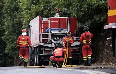 Encuentran calcinado cuerpo mujer que buscaba animales en el incendio d Gran Canaria