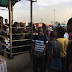 Law Enforcement Results in Overcrowded Pedestrian Bridge in Lagos