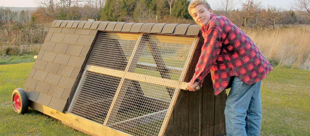 How to Make a Coop: Chicken Housing Design Creates Small ...