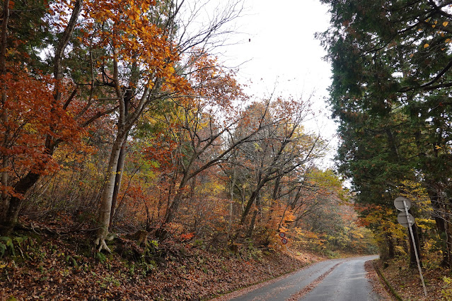 鳥取県道45号倉吉江府溝口線（大山環状道路）