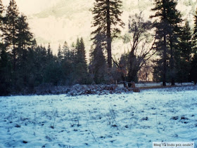 Yosemite Park