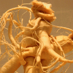 3 Types of Ginseng and Benefits For Health