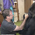 ha conversation with koko the gorilla 