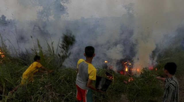 KEBAKARAN HUTAN DI RIAU SEMAKIN MELUAS, KOMANDAN WIRABIMA PERINTAHKAN PELAKU TEMBAK DI TEMPAT !