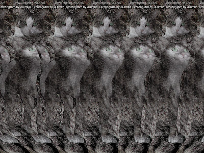 stereogram