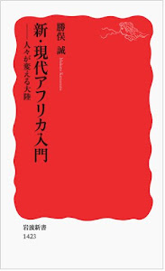 新・現代アフリカ入門――人々が変える大陸 (岩波新書)