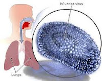 ramuan influenza