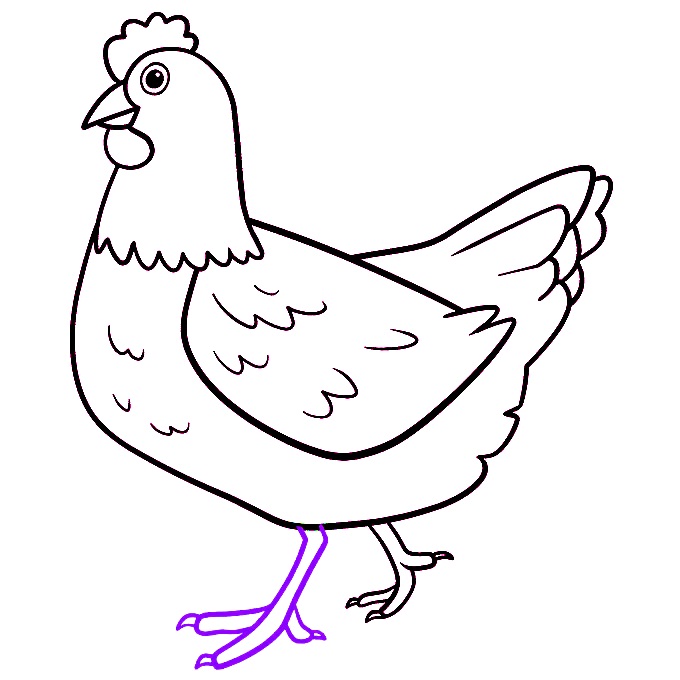 Como desenhar uma galinha 