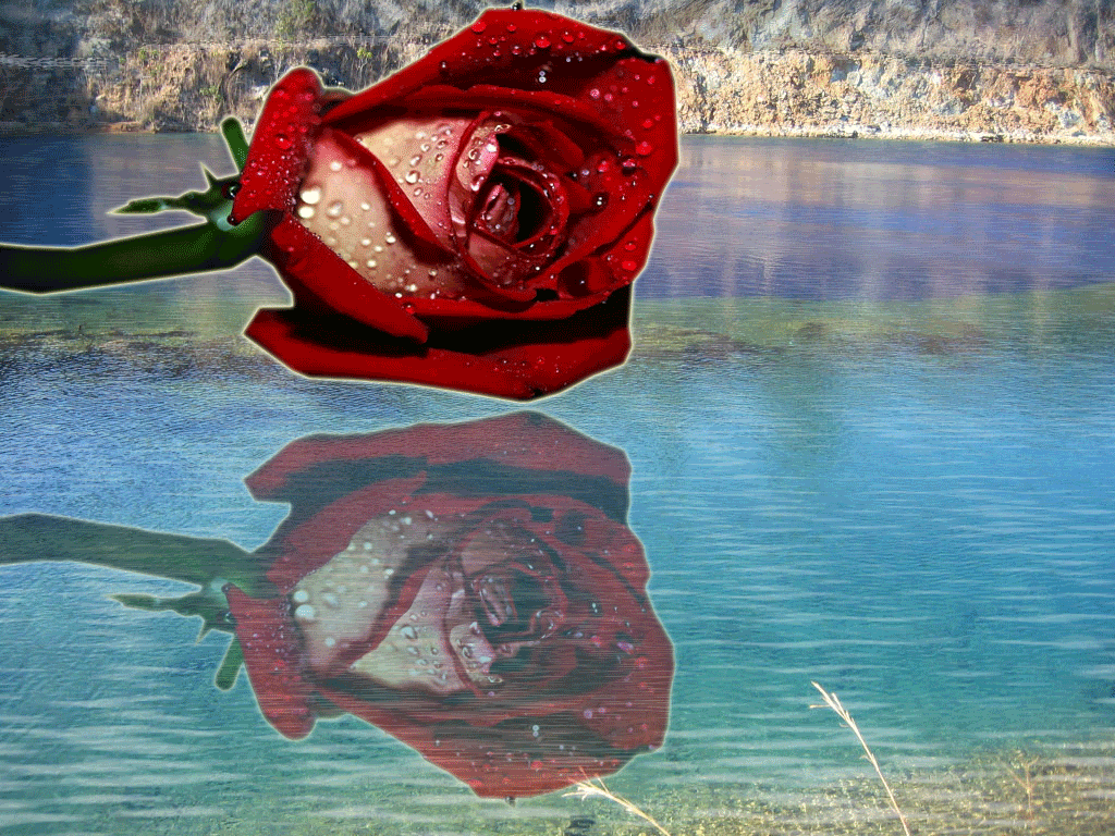 flor paisagem