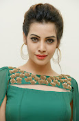 diksha panth latest glam pics-thumbnail-23