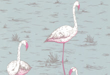 flamingo print wallpaper