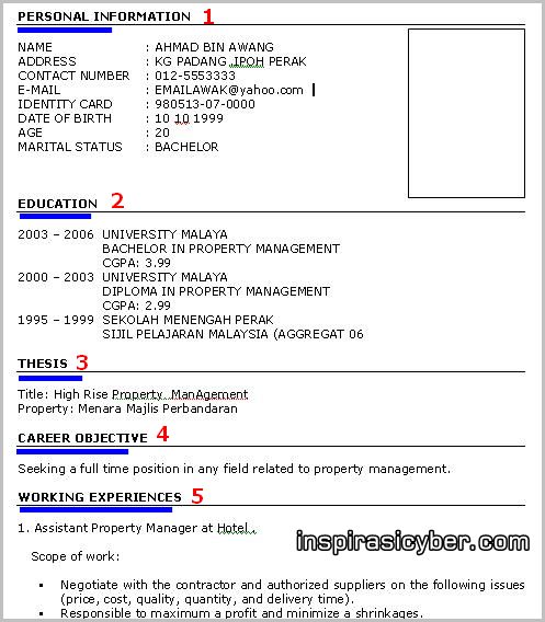 Contoh Cv English | newhairstylesformen2014.com