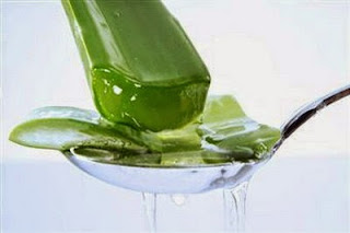 Usually aloe gel or prickly heat prickly heat aloe Vera affected area is under attack, it is because the body is cold