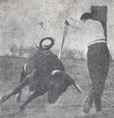 Juan Belmonte Par de banderillas 001