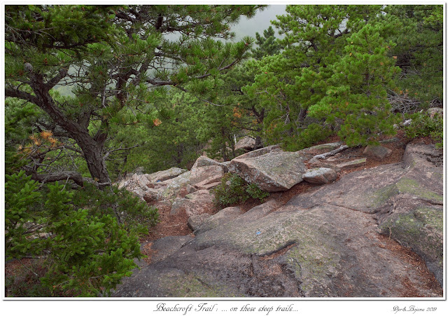 Beachcroft Trail: ... on these steep trails...