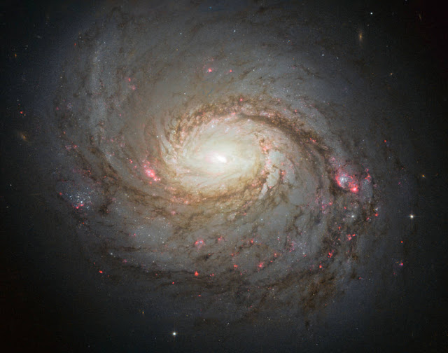 galaksi-seyfert-informasi-astronomi