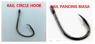 perbedaan kail circel hook dengan kail biasa, kelebihan kail circle hook