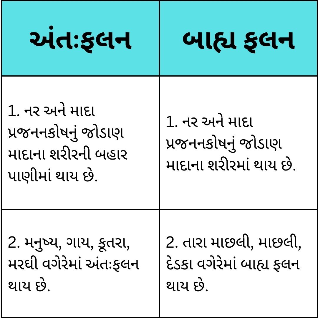 ધોરણ 8 વિજ્ઞાન પાઠ 6 પ્રાણીઓમાં પ્રજનન સ્વાધ્યાય સોલ્યુશન 4