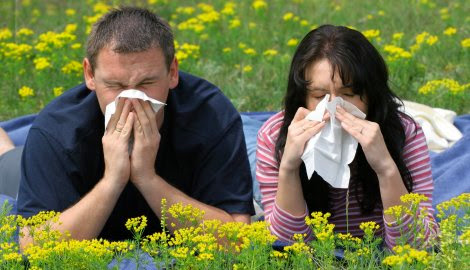 proljetna alergija, alergija na polen
