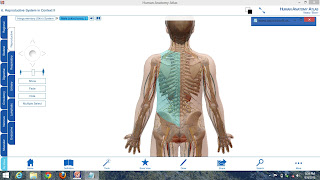 Visible Body Human Anatomy Atlas Full Repack - Putlocker