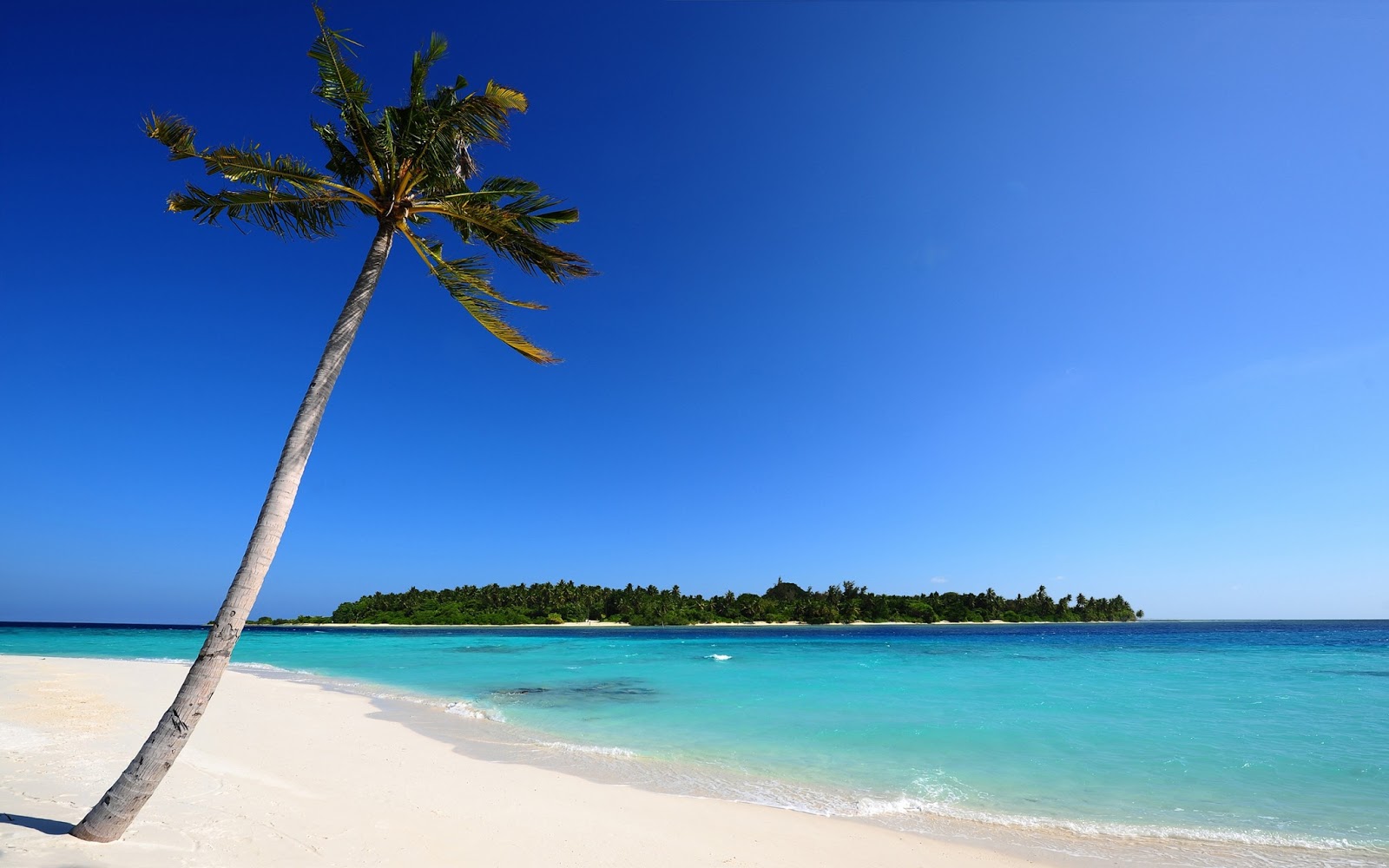 Wallpaper Desk : Beach of hdwallpaper, hd beach wallpapersWallpaper Desk