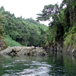 View album