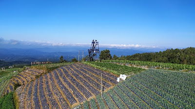 View terasering sitegong