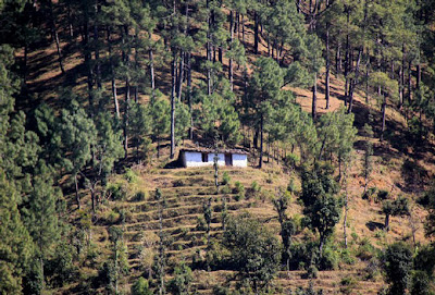 Nainital - A Beautiful Hill Station in India, Amazing Photo Seen On lolpicturegallery.blogspot.com