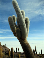 uyuni bolivia