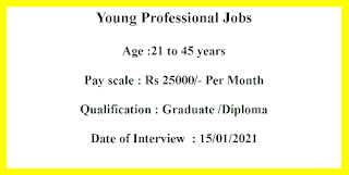 Young Professional Jobs in Central Institute For Research on Cotton Technology