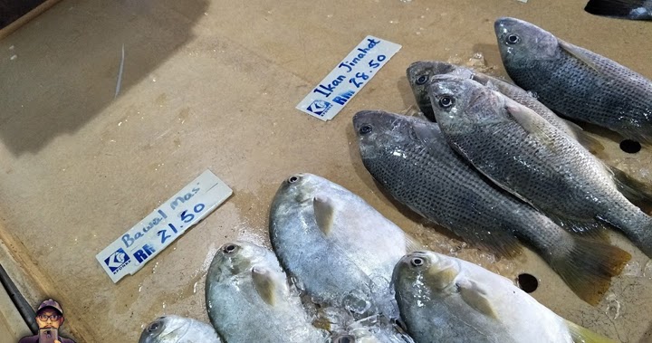 42 Ide Terkini Harga Keramik  Gambar Ikan