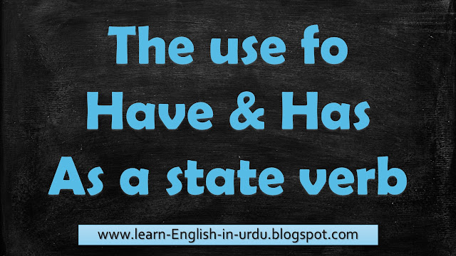 Use of Have and Has as state verb in Urdu - HIndi