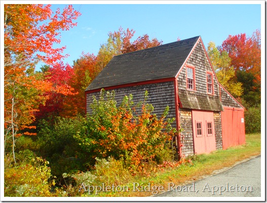 Fall Foliage 054