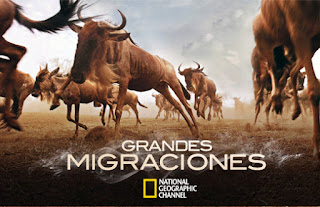 http://grandes-migraciones.natgeo.tv/juegos.php