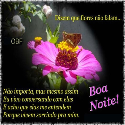 Boa Noite Imagens Mensagens e Frases Glimboo