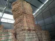 Bales of Kenaf Fibers for Sale image 3