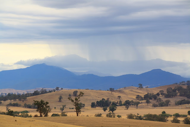 Mansfield, Mt Buller