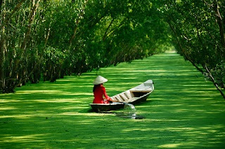 Navegando por el Delta del Mekong