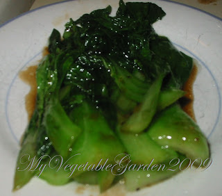 Bok Choi with Oyster Sauce