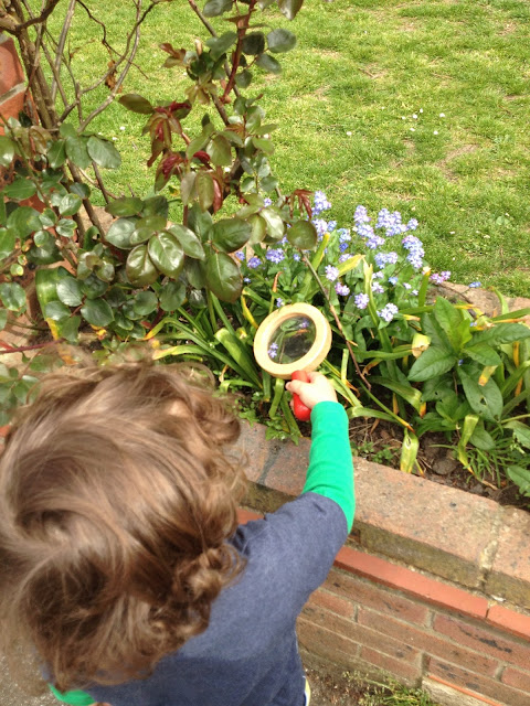 Saplings Classes in Brighton - Forest School Review