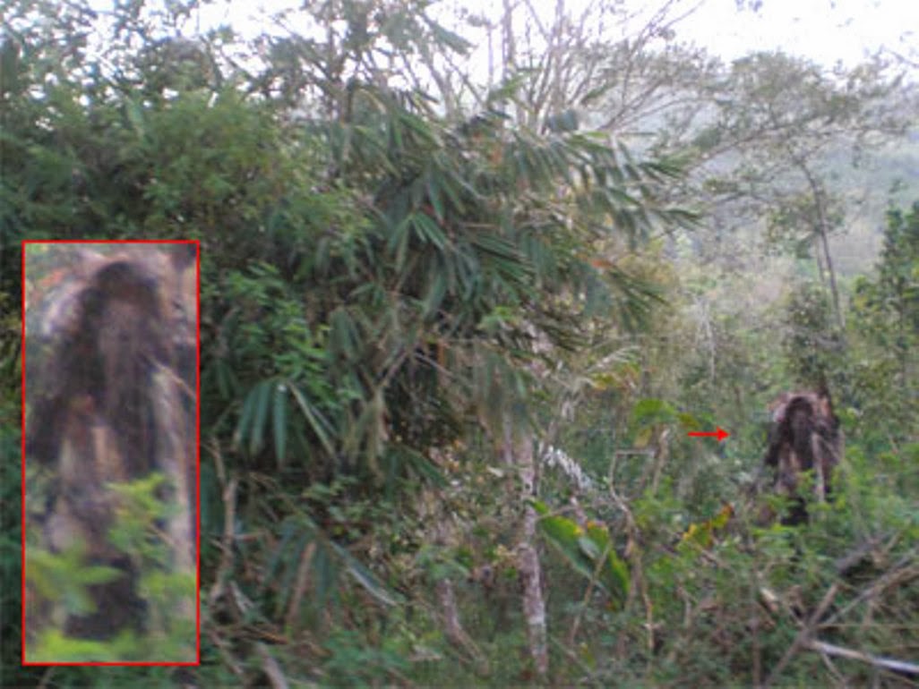 Foto gambar penampakan Hantu setan pocong kuntilanak 