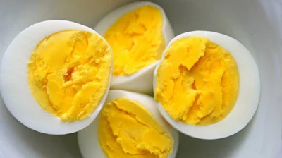 Cara membuat makanan ikan cupang dari kuning telur