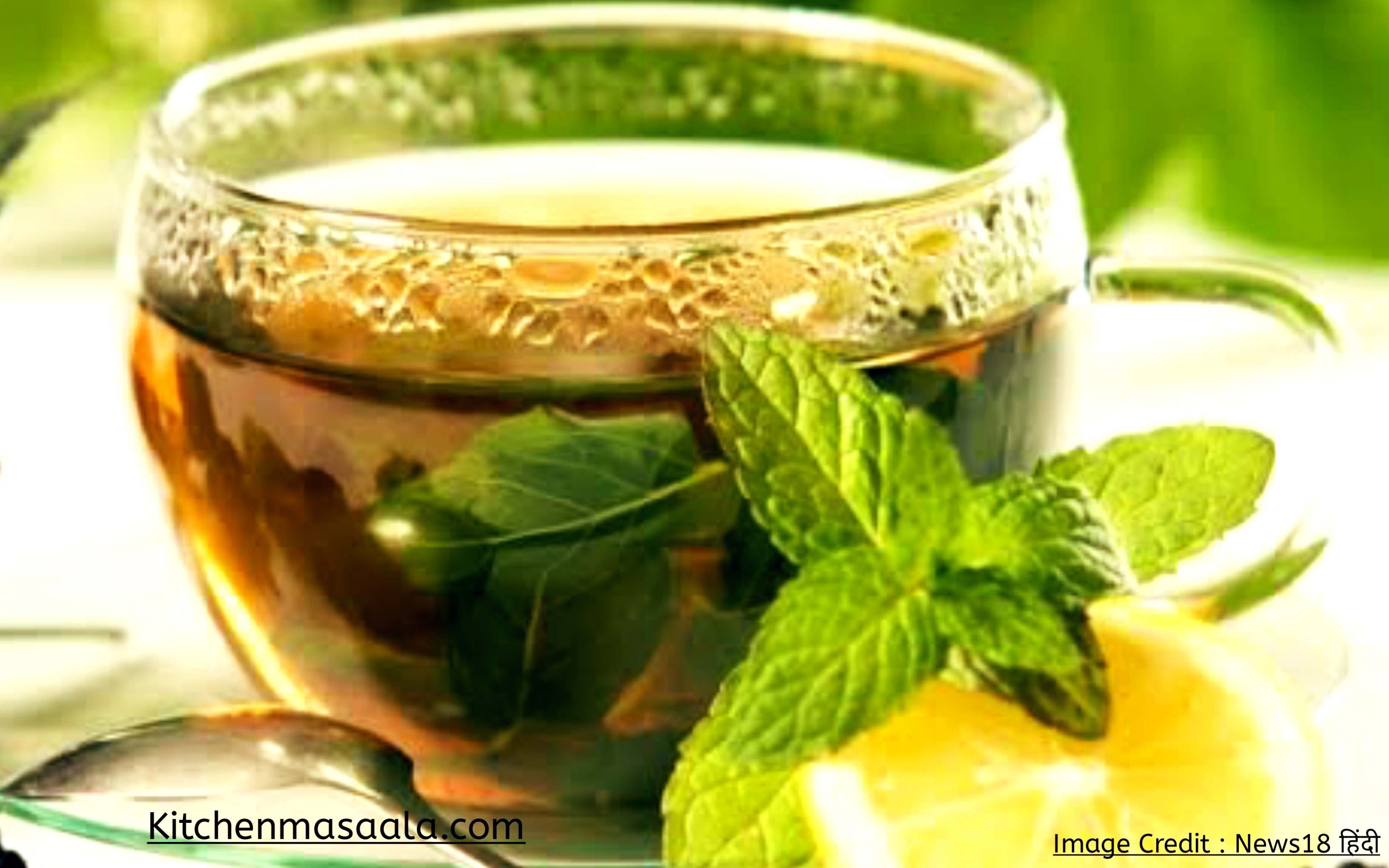 तुलसी ग्रीन टी बनाने की विधि || Tulsi green tea recipe in Hindi