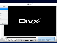 DivX_Pro_7.2.0_Build_10.3.1.6