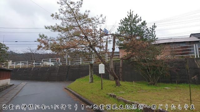 富田八幡宮　景清の矢中松