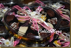 Coklat Myza 011