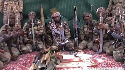 Boko Haram kill seven in suicide attack, raid in Borno