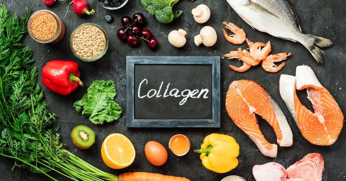 saurces of collagen
