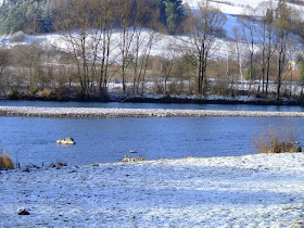 Fishing in winter for trout